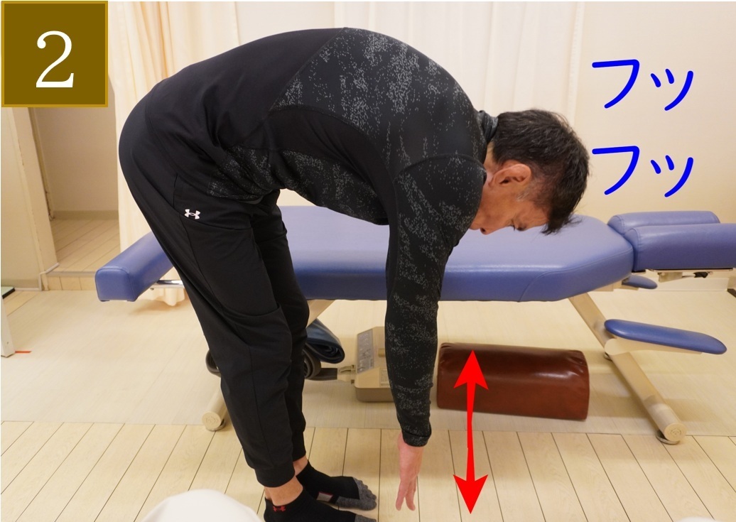 腰痛体操とストレッチで目指す美ボディメイク！寝ながらできる簡単リセットセルフケア