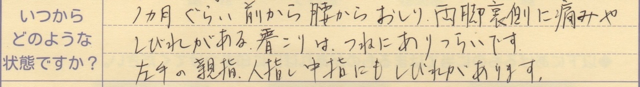 1ヵ月ぐらい前から腰からおしり両脚裏側に痛みやしびれがある 肩こりはつねにありつらいです。 左手の親指、人差し指にもしびれがあります