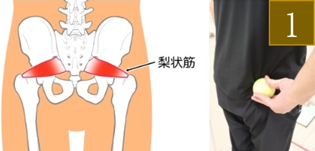 梨状筋（りじょうきん）を緩めるセルフケア