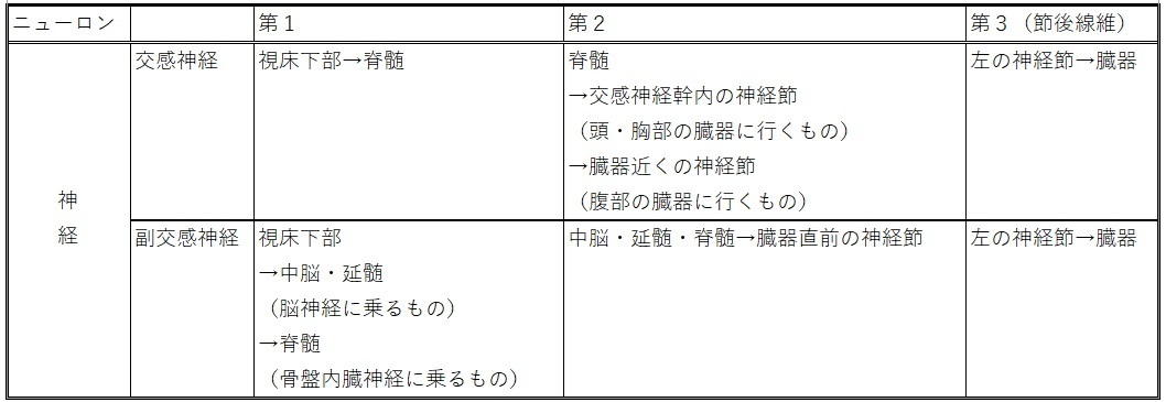 自律神経の概要