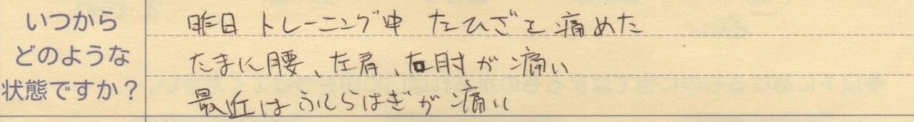 昨日トレーニング中左ひざを痛めた たまに腰、左肩、右肘が痛い 最近はふくらはぎが痛い