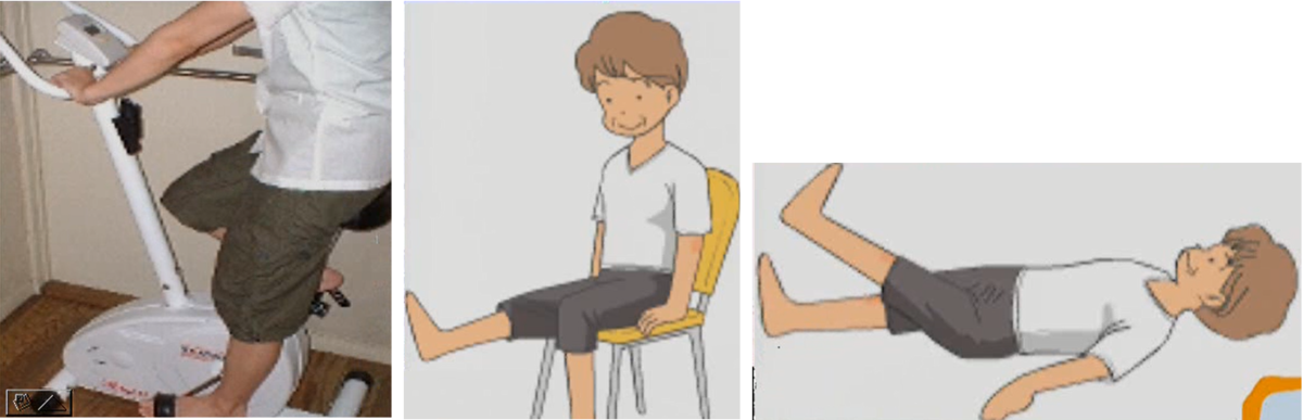 変形性膝関節症の運動療法