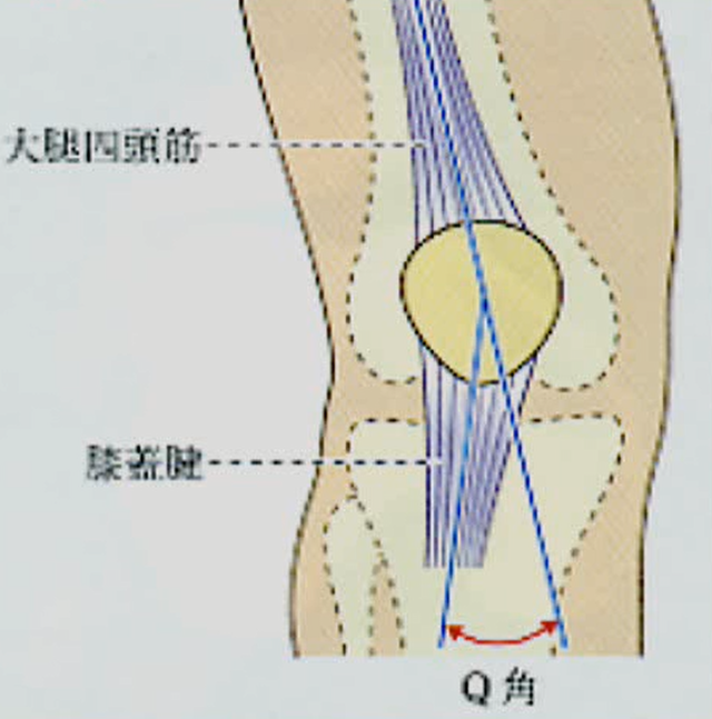 大きいＱ角