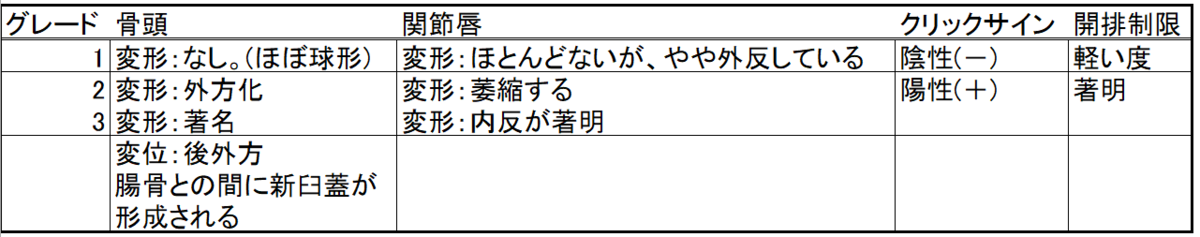 解剖学的グレード分類