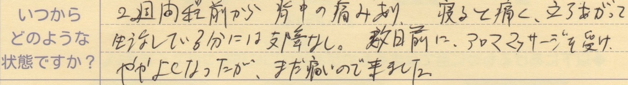 2週間程前から背中の痛みあり、寝ると痛く立ち上がって生活している分には支障なし。 数日前にアロママッサージを受けてやや良くなったがまだ痛いので来ました。