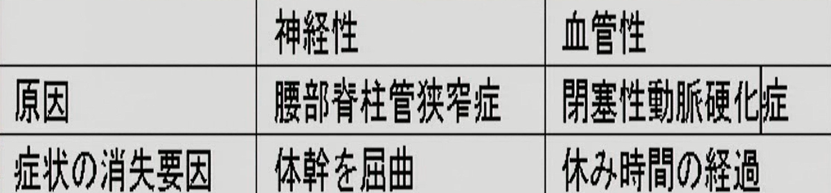 血管性間欠跛行と神経性間欠跛行の鑑別