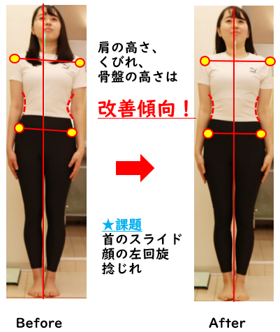 姿勢分析品川区