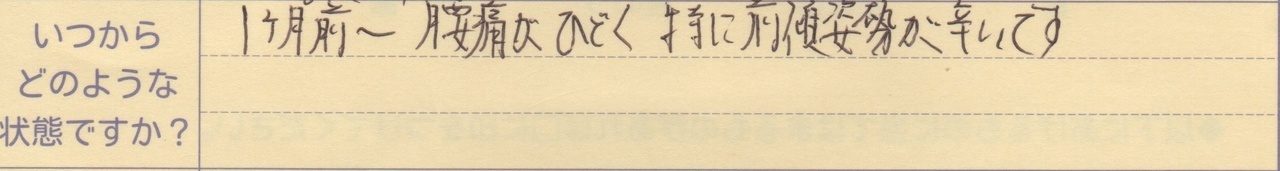 1ヵ月前～腰痛がひどく特に前傾姿勢が辛いです