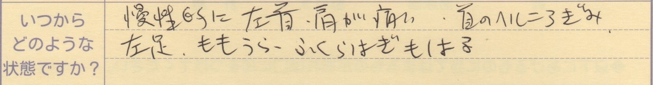 慢性的に左首、肩が痛い 首のヘルニアぎみ 左足、もも裏、ふくらはぎもはる