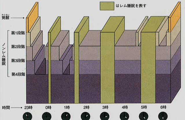 睡眠のしくみ