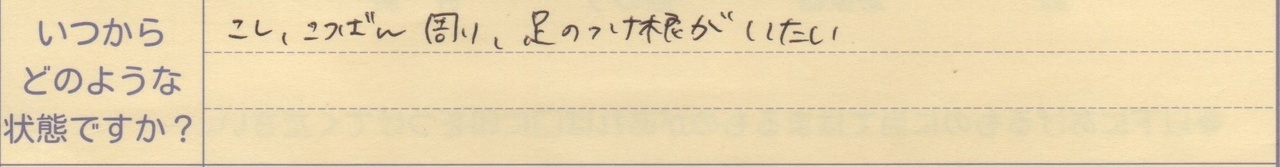 こし、こつばん周り、足のつけ根がいたい