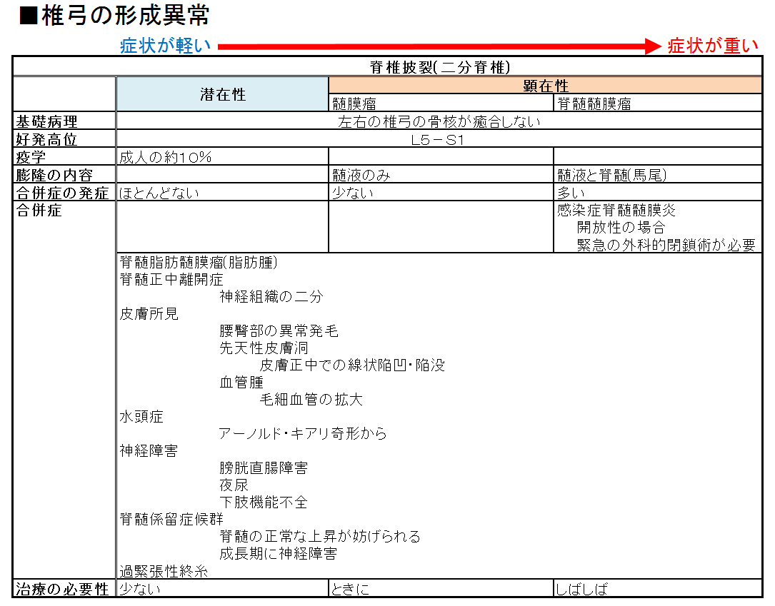 椎弓の形成異常まとめ