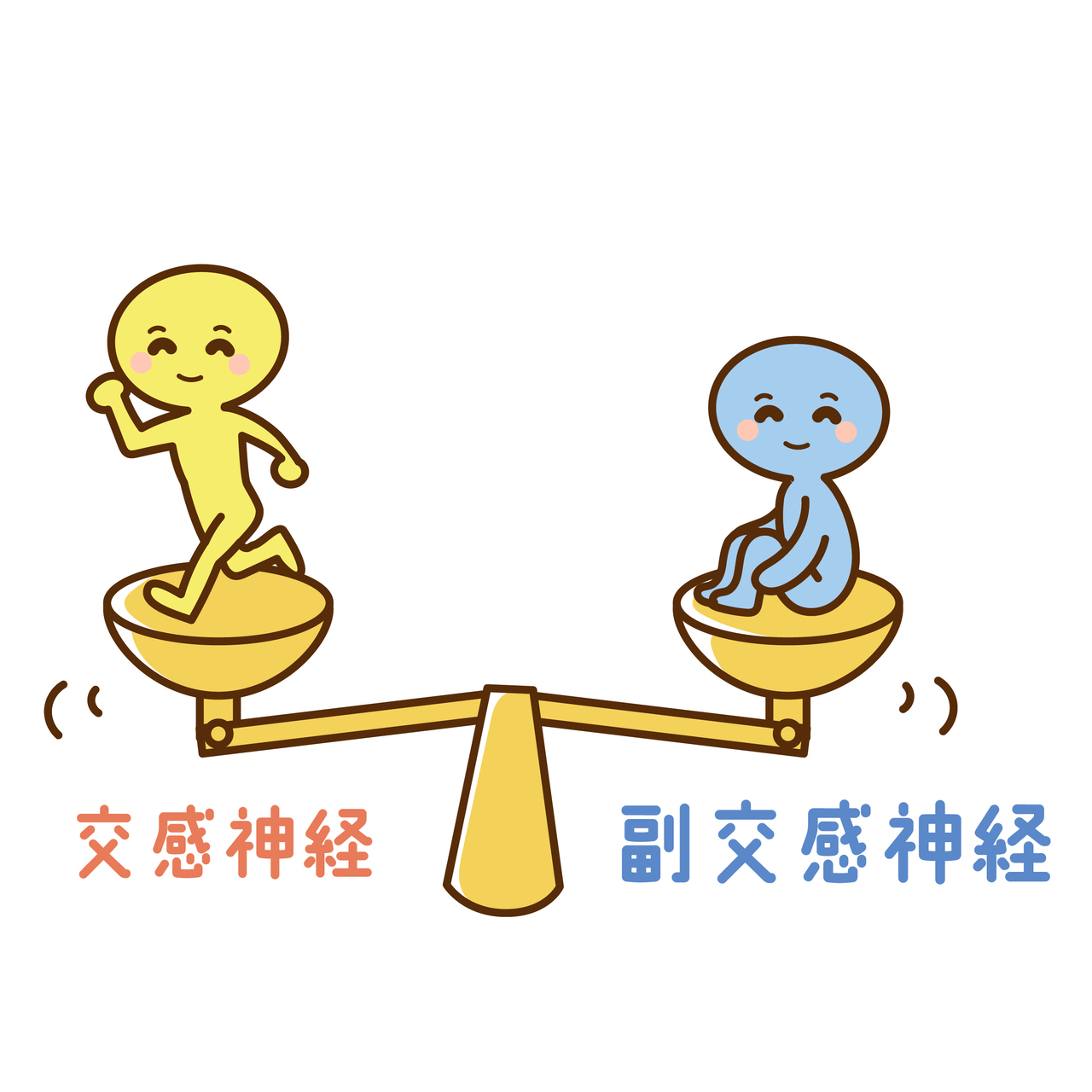 交感神経と副交感神経の働き