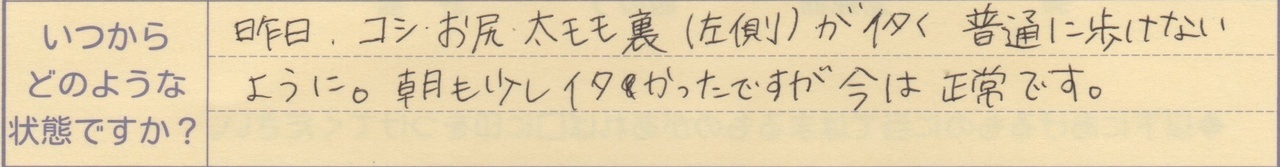 昨日、コシ、お尻、太モモ裏(左側)が痛く普通に歩けないように。 朝も少し痛かったですが今は正常です。