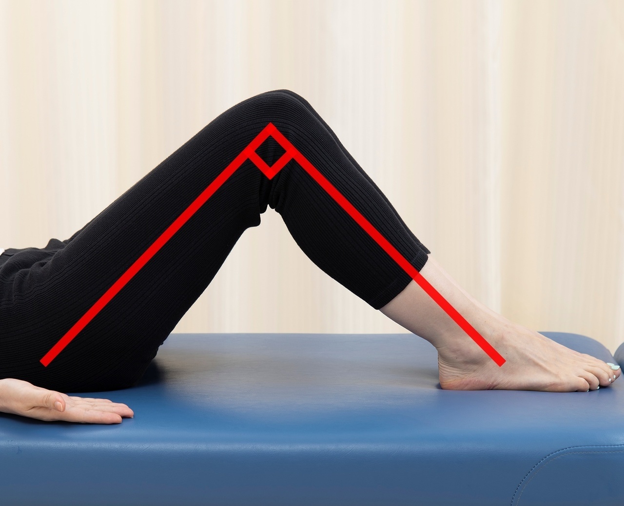 お腹が痩せる！代謝アップさせながら腰痛・肩こり改善するエクササイズ