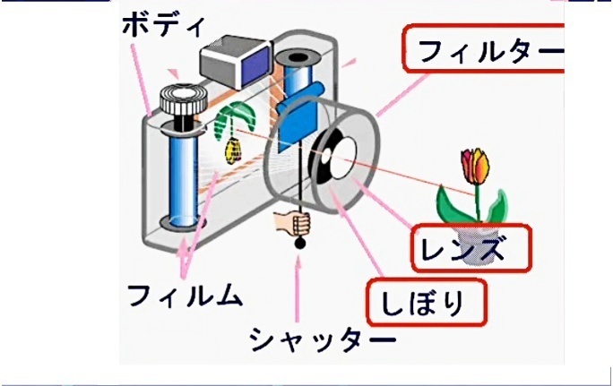 眼とカメラの共通点｜レンズと神経の関係