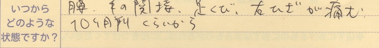 腰、手の関節、足首、右ひざが痛む 10ヵ月以前から