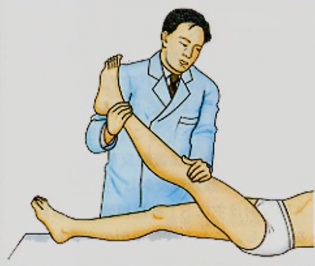 下肢伸展挙上テスト(SLRテスト)　整形外科学テスト　オーソペディックテスト