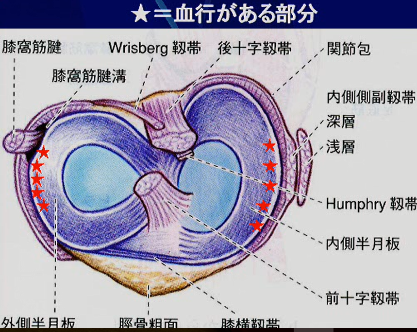 半月板損傷 整形外科学ブログ 品川区の整体 産後の骨盤矯正と痛くない小顔矯正が口コミで人気のなかのぶ整体院