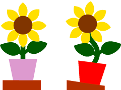 骨盤のゆがみ　整体　中延