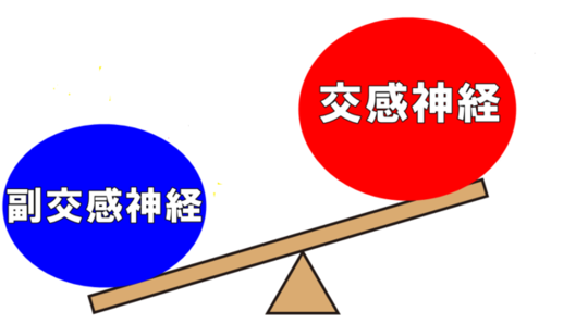 自律神経には交感神経と副交感神経があり整体で改善